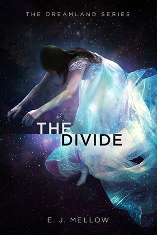 TheDivide