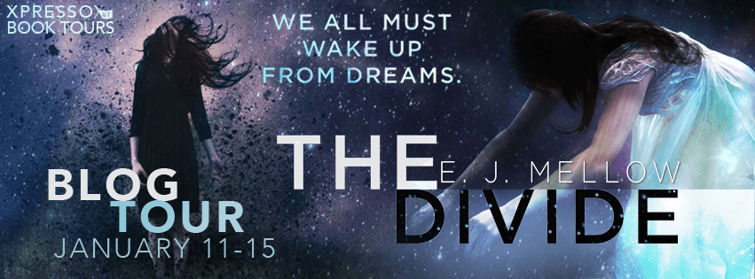 The Divide Tour Banner (Expresso Book Tours)