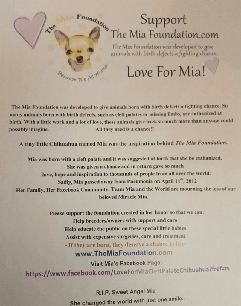 The Mia Foundation _