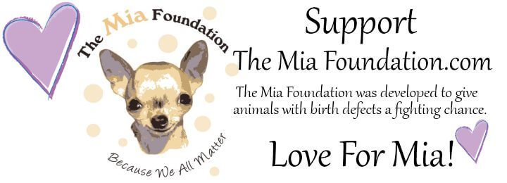 The Mia Foundation