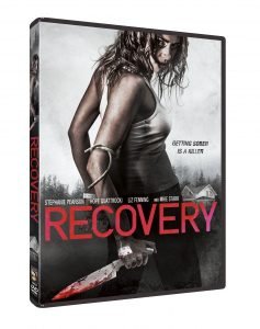 Recovery DVD Cover